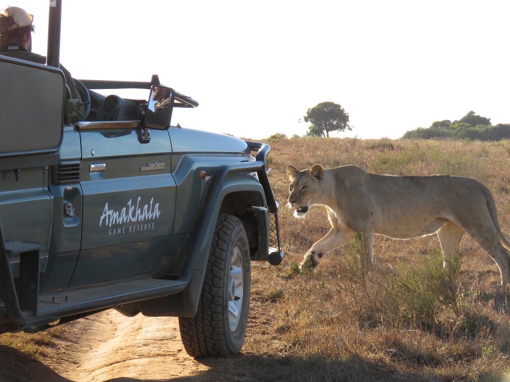 Woodbury Lodge - Amakhala Game Reserve Exterior photo