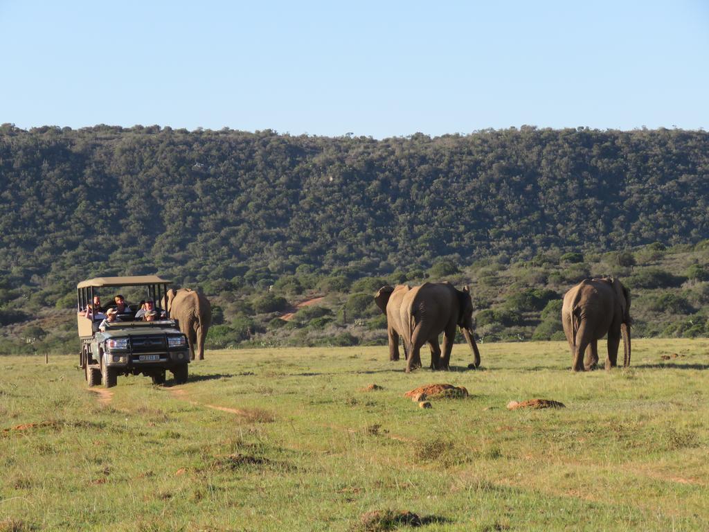 Woodbury Lodge - Amakhala Game Reserve Exterior photo