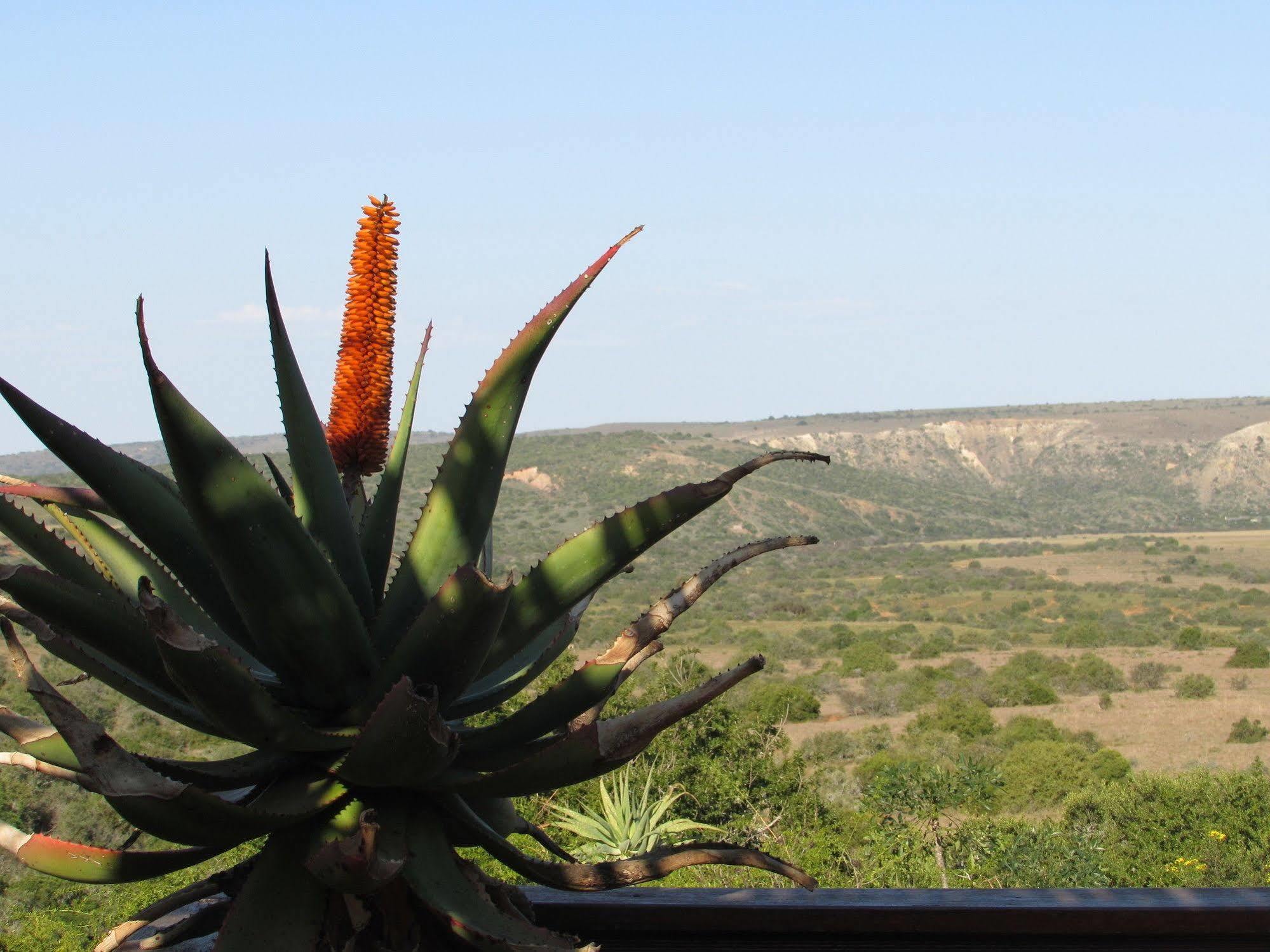 Woodbury Lodge - Amakhala Game Reserve Exterior photo