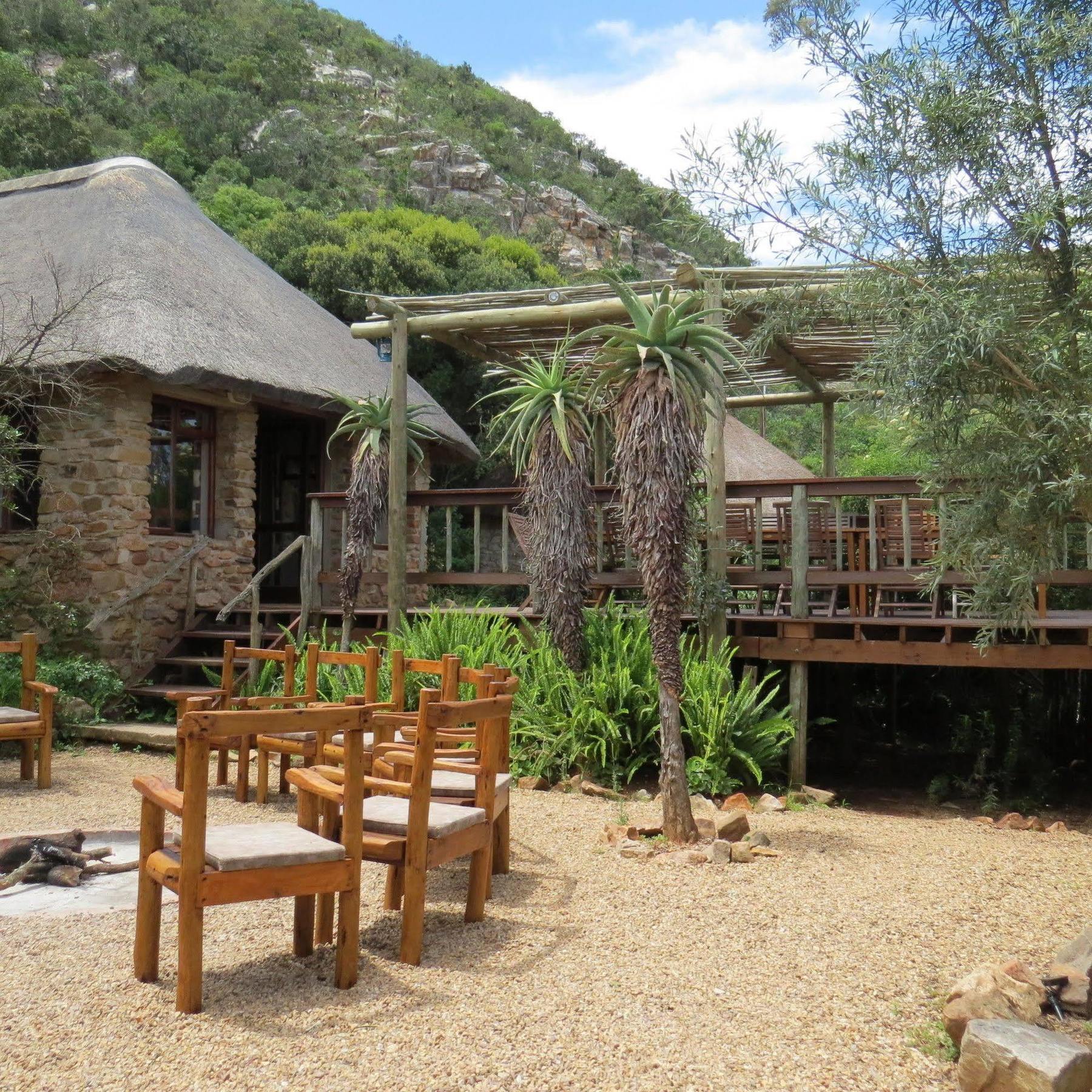 Woodbury Lodge - Amakhala Game Reserve Exterior photo